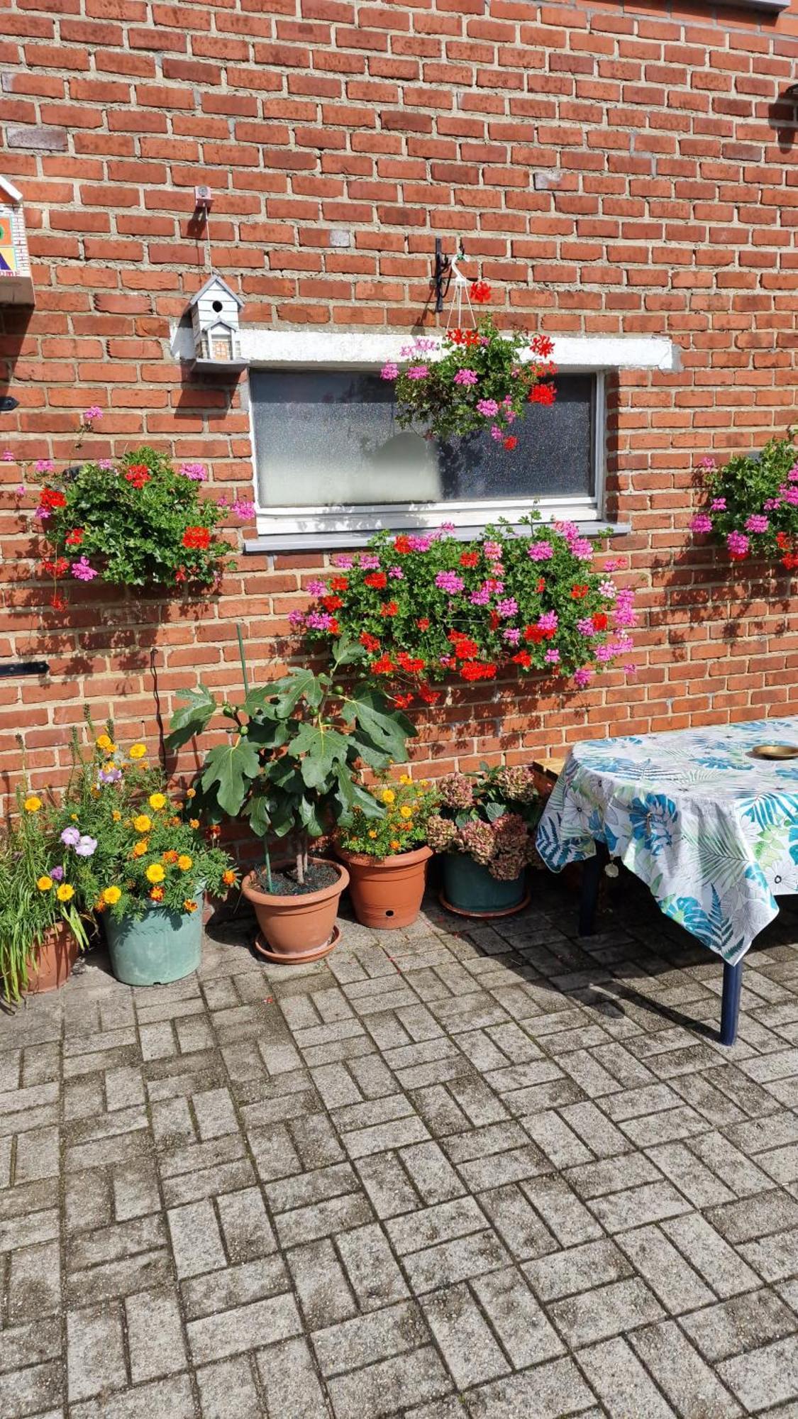 Mignon Apartment Soumagne Exterior photo